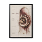 Silent Organs – Hippocampus Wall Art | Luxury Neuroscience Canvas Print | Museum-Inspired Fine Art