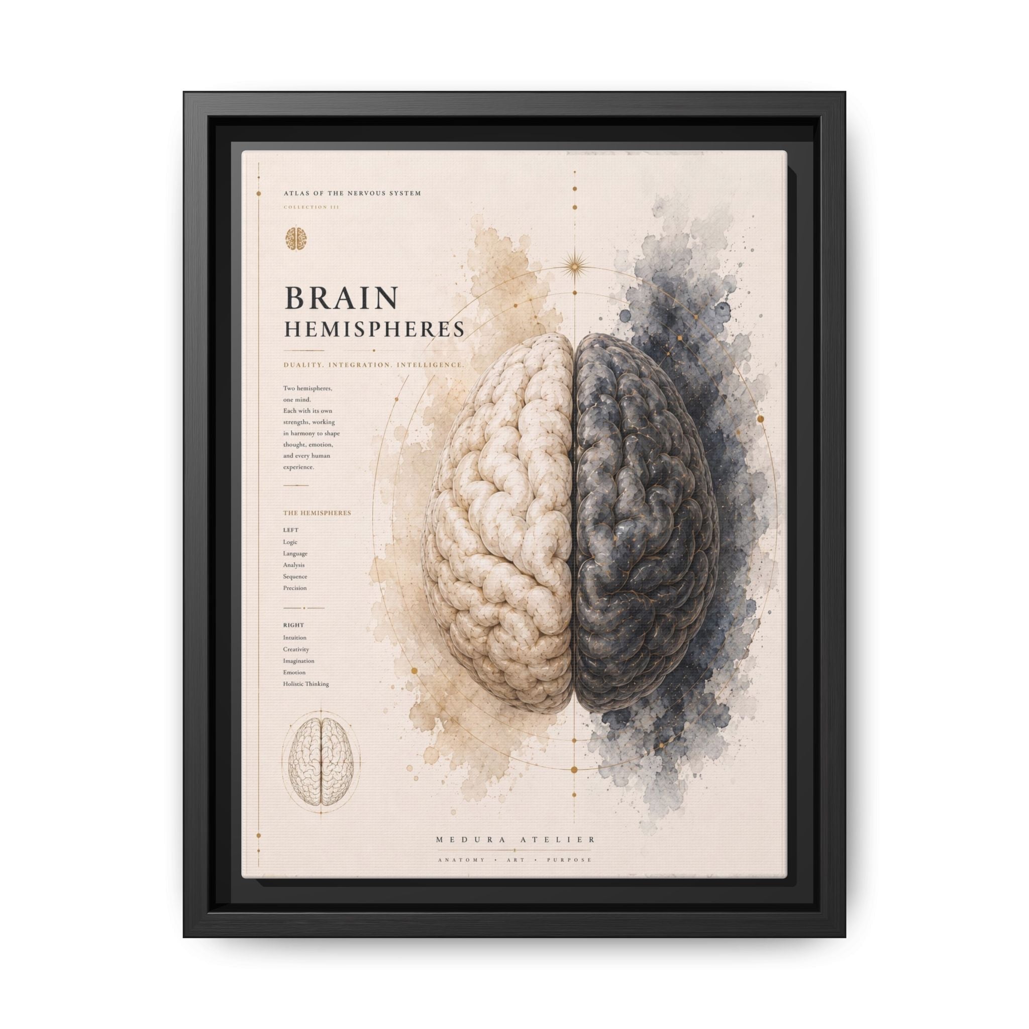 Brain Hemispheres Wall Art | Luxury Neuroscience Canvas Print | Museum-Inspired Fine Art