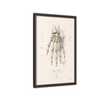 Anatomical Hand Skeleton Wall Art | Luxury Orthopaedic Canvas Print | Museum-Inspired Fine Art