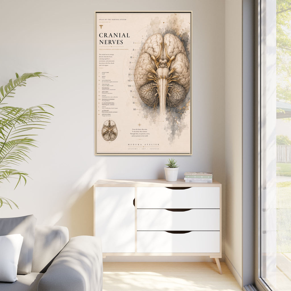White Matter Brain Wall Art | Luxury Neuroscience Canvas Print | Museum-Inspired Fine Art