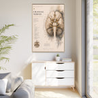 White Matter Brain Wall Art | Luxury Neuroscience Canvas Print | Museum-Inspired Fine Art