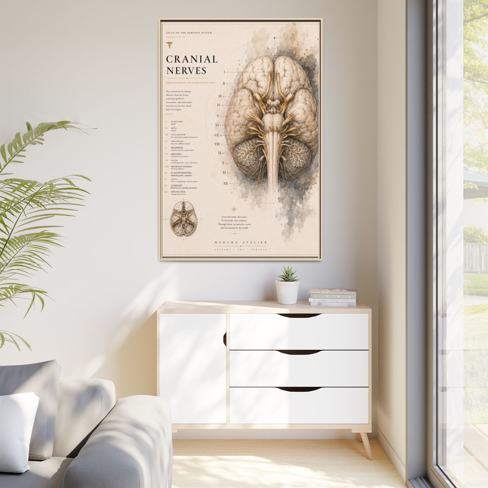 White Matter Brain Wall Art | Luxury Neuroscience Canvas Print | Museum-Inspired Fine Art