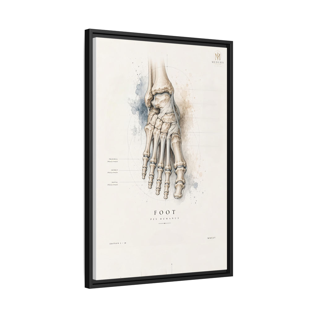 Anatomical Foot Skeleton Wall Art | Luxury Podiatry Canvas Print | Museum-Inspired Fine Art