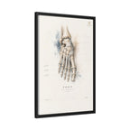 Anatomical Foot Skeleton Wall Art | Luxury Podiatry Canvas Print | Museum-Inspired Fine Art