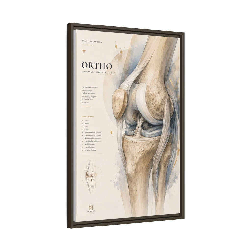 Orthopaedic Knee Anatomy Wall Art | Luxury Orthopedic Canvas Print | Museum-Inspired Fine Art