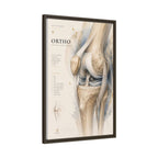 Orthopaedic Knee Anatomy Wall Art | Luxury Orthopedic Canvas Print | Museum-Inspired Fine Art