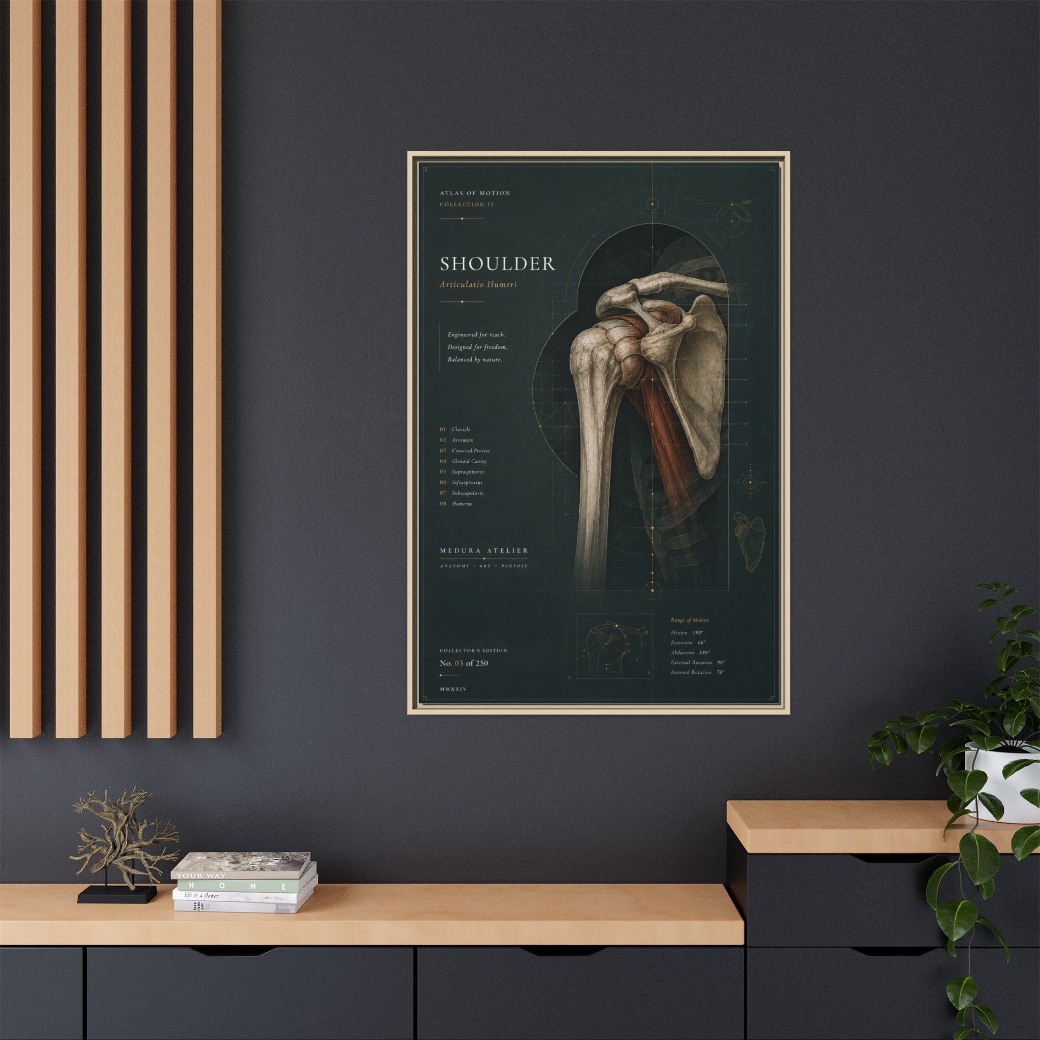 Copy of Atlas of Motion – Knee Wall Art | Luxury Orthopedic Canvas Print | Museum-Inspired Fine Art