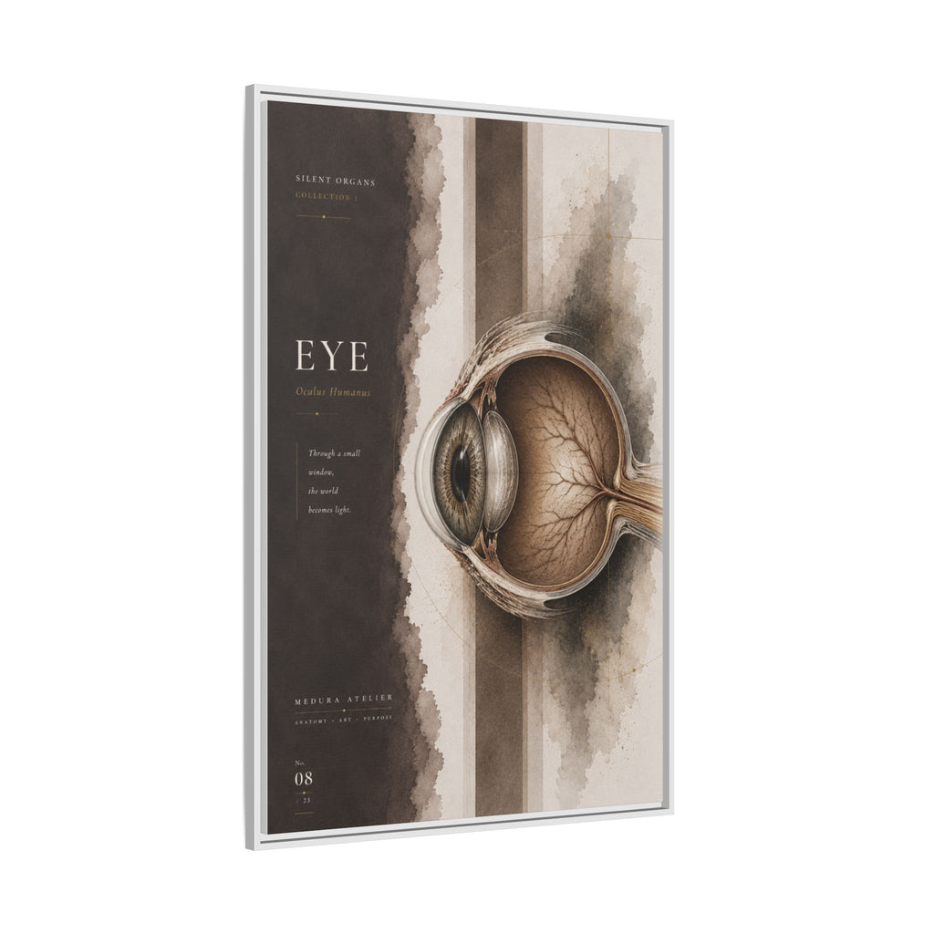 Silent Organs – Eye Wall Art | Luxury Anatomical Canvas Print | Museum-Inspired Fine Art