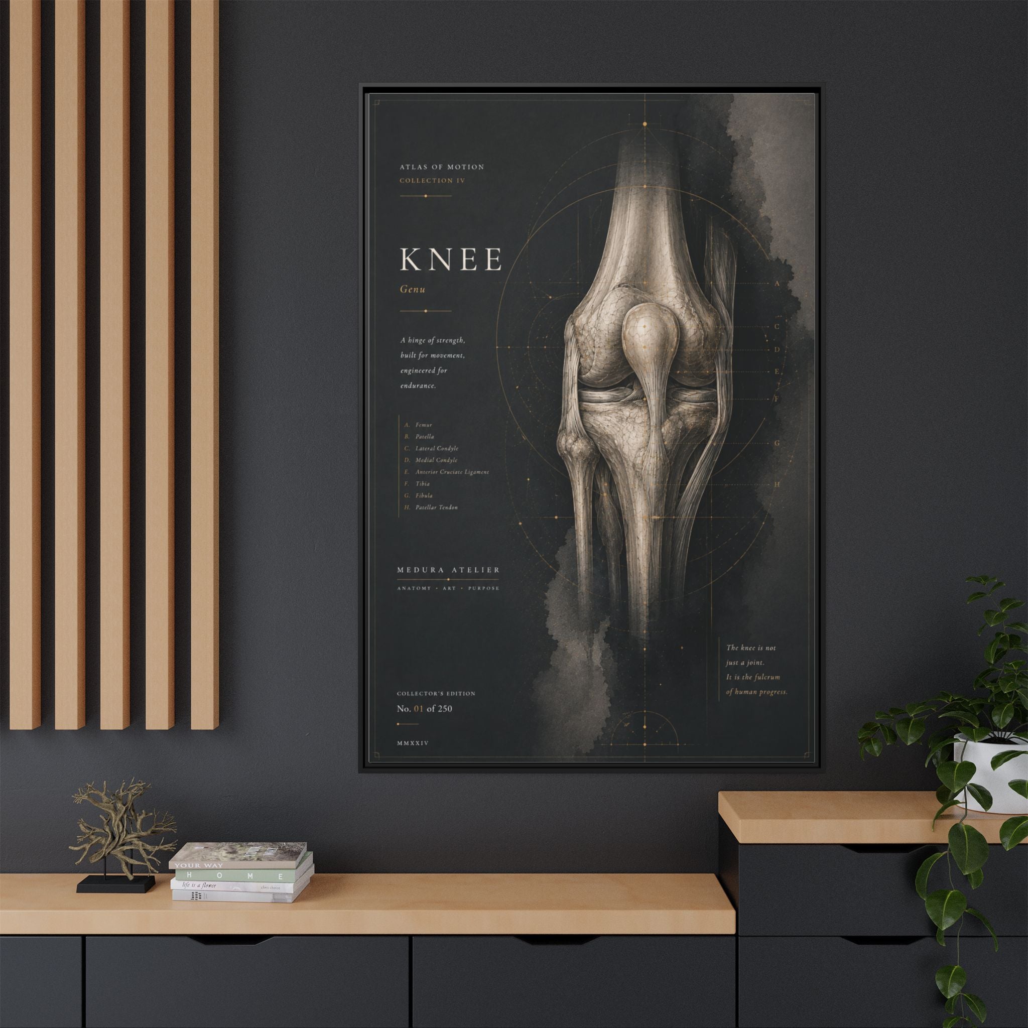 Atlas of Motion – Knee Wall Art | Luxury Orthopedic Canvas Print | Museum-Inspired Fine Art