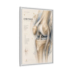Orthopaedic Knee Anatomy Wall Art | Luxury Orthopedic Canvas Print | Museum-Inspired Fine Art