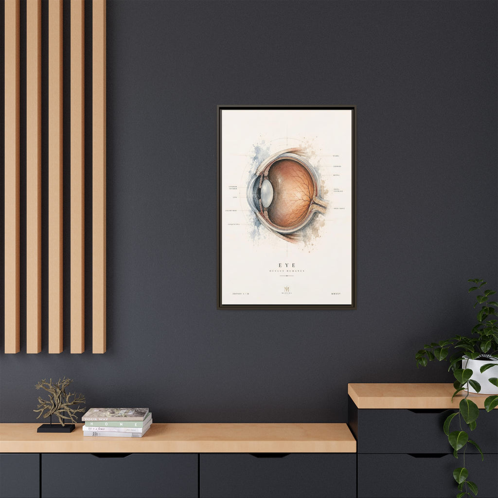 Anatomical Eye Canvas Print | Luxury Ophthalmology Wall Art | Museum-Inspired Medical Decor