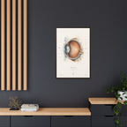 Anatomical Eye Canvas Print | Luxury Ophthalmology Wall Art | Museum-Inspired Medical Decor