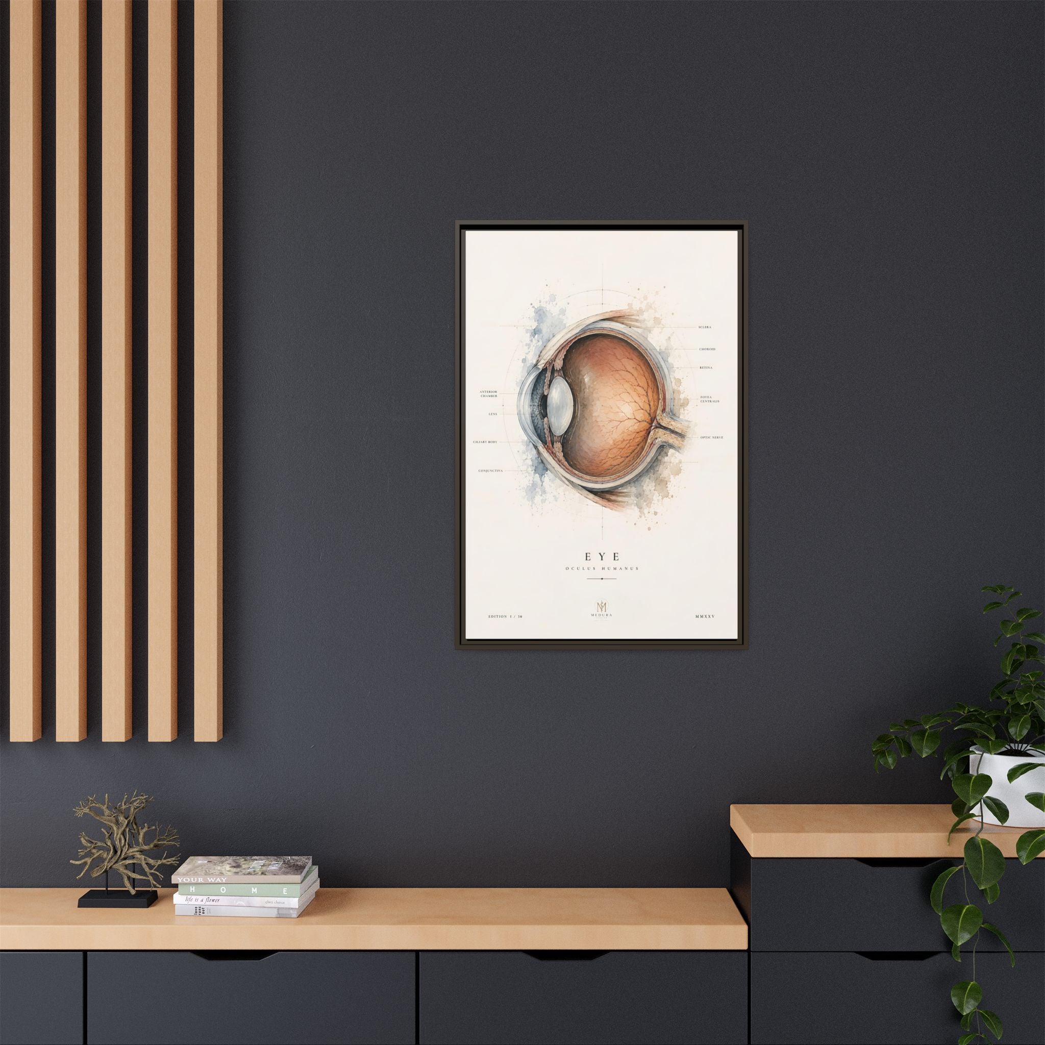 Anatomical Eye Canvas Print | Luxury Ophthalmology Wall Art | Museum-Inspired Medical Decor