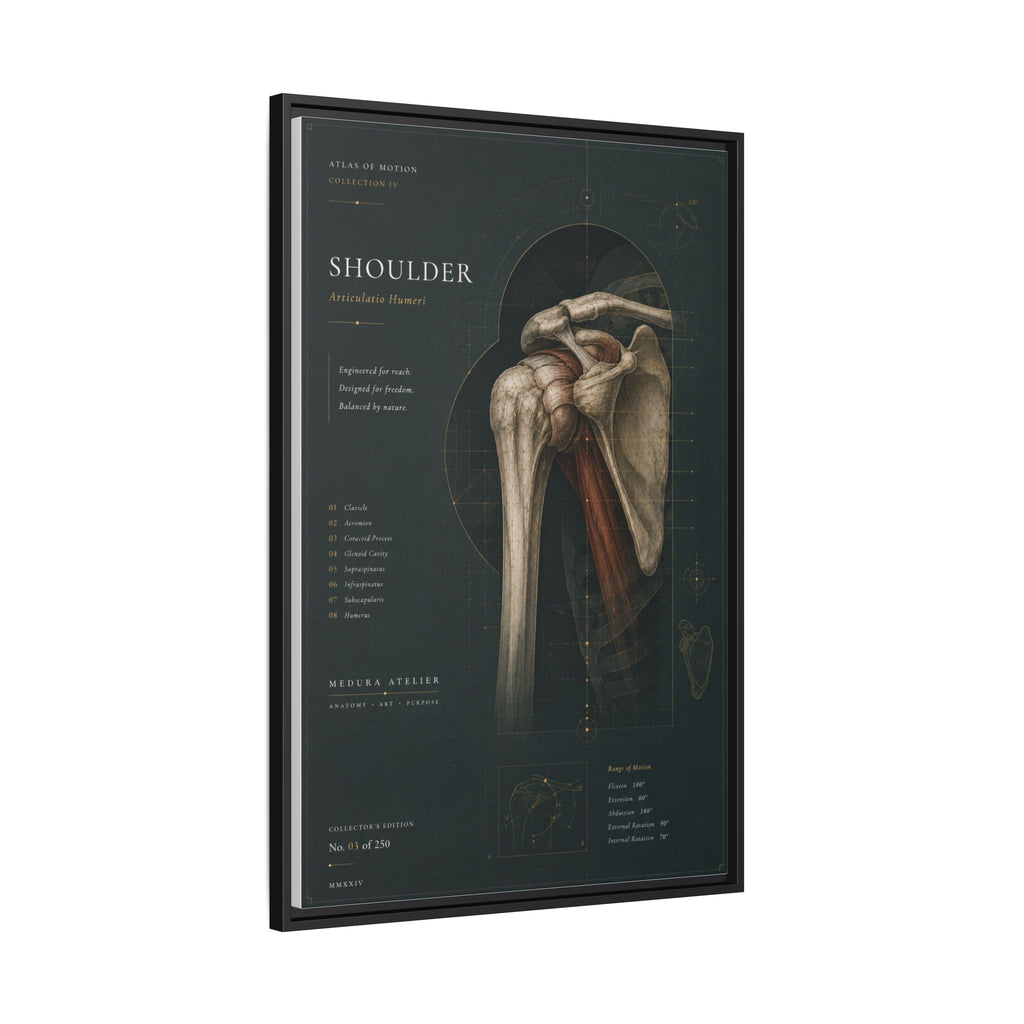 Copy of Atlas of Motion – Knee Wall Art | Luxury Orthopedic Canvas Print | Museum-Inspired Fine Art