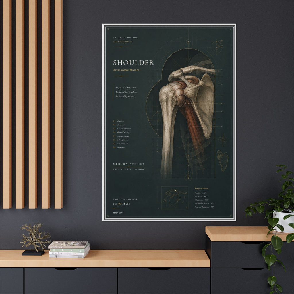 Copy of Atlas of Motion – Knee Wall Art | Luxury Orthopedic Canvas Print | Museum-Inspired Fine Art