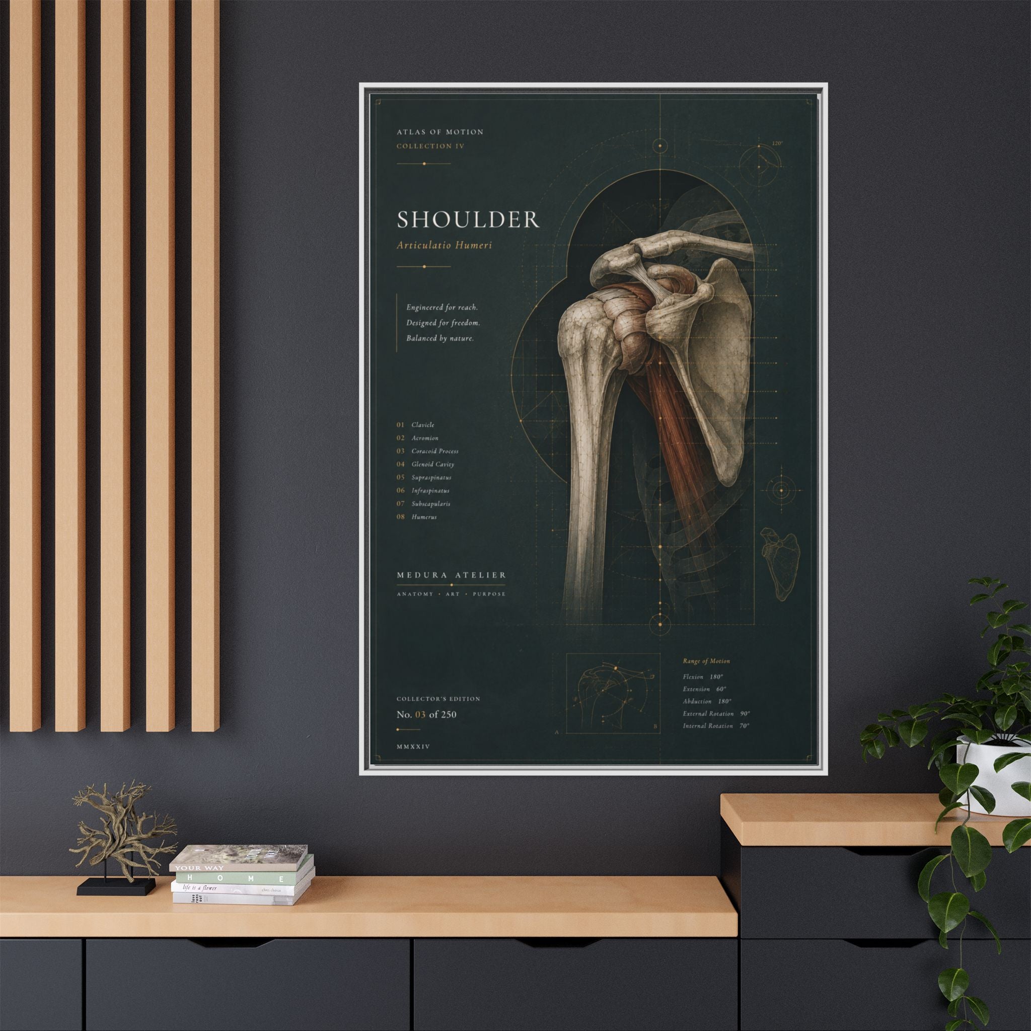Copy of Atlas of Motion – Knee Wall Art | Luxury Orthopedic Canvas Print | Museum-Inspired Fine Art