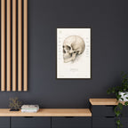 Anatomical Skull Wall Art | Luxury Medical Canvas Print | Museum-Inspired Fine Art