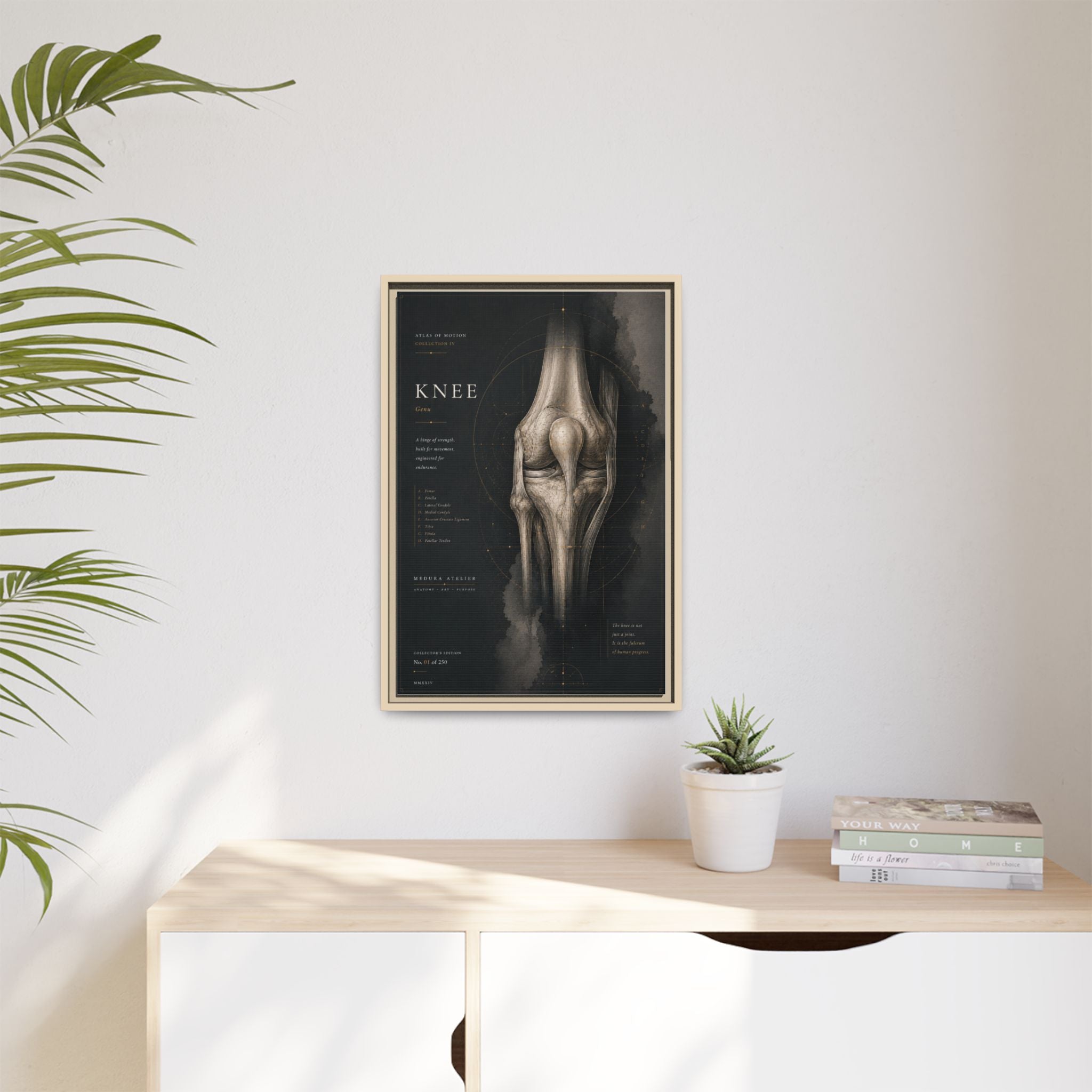 Atlas of Motion – Knee Wall Art | Luxury Orthopedic Canvas Print | Museum-Inspired Fine Art