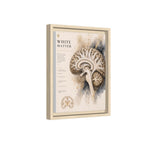 White Matter Brain Wall Art | Luxury Neuroscience Canvas Print | Museum-Inspired Fine Art