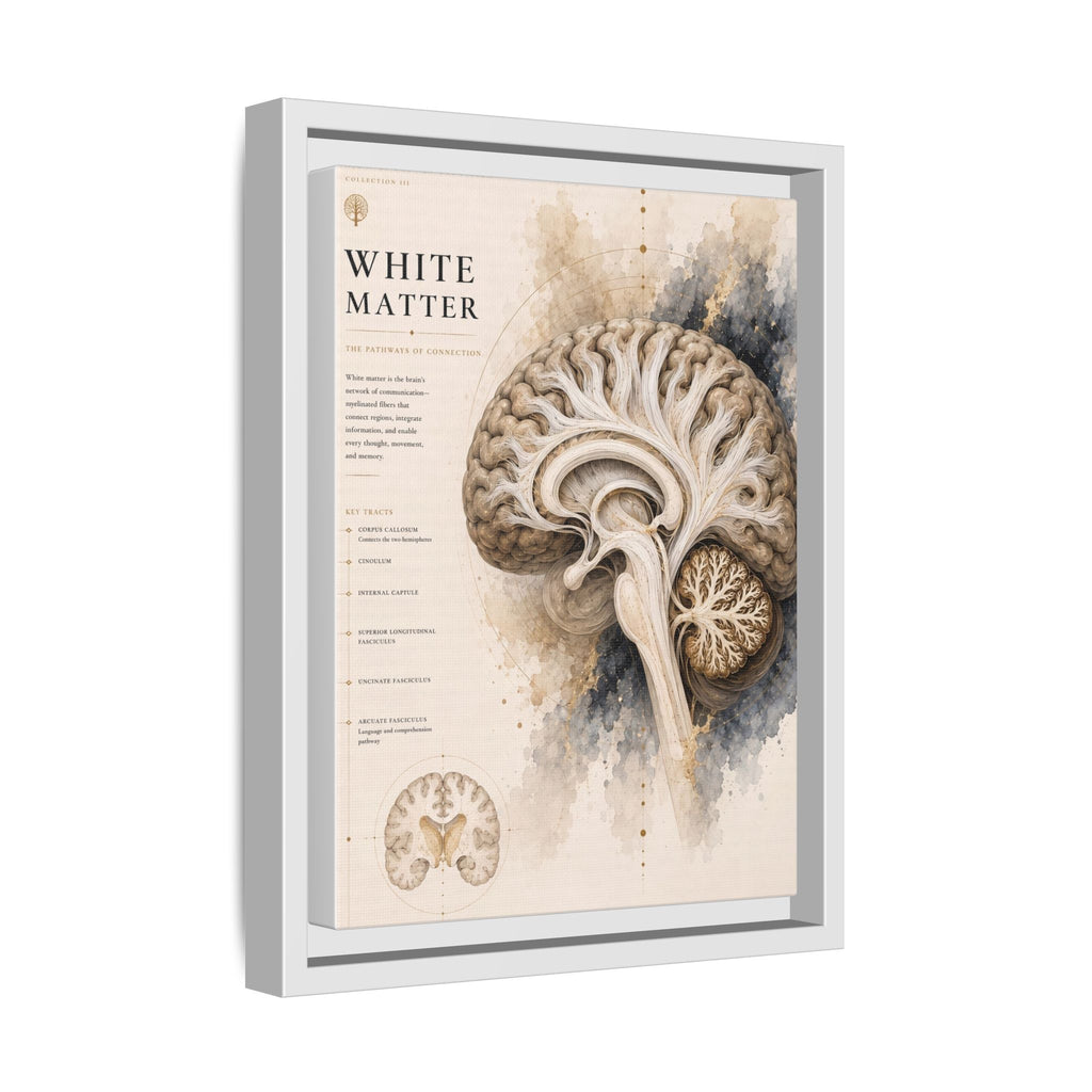 White Matter Brain Wall Art | Luxury Neuroscience Canvas Print | Museum-Inspired Fine Art