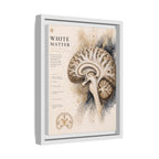White Matter Brain Wall Art | Luxury Neuroscience Canvas Print | Museum-Inspired Fine Art