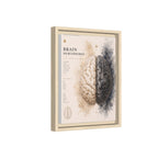 Brain Hemispheres Wall Art | Luxury Neuroscience Canvas Print | Museum-Inspired Fine Art