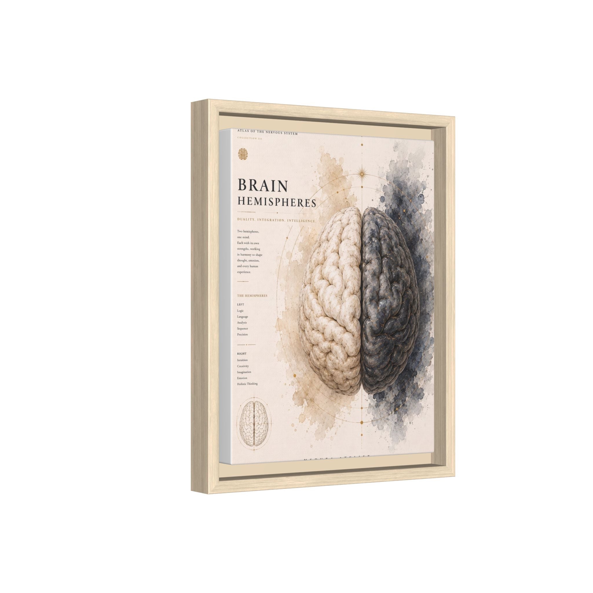 Brain Hemispheres Wall Art | Luxury Neuroscience Canvas Print | Museum-Inspired Fine Art