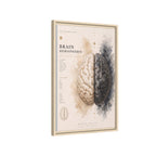 Brain Hemispheres Wall Art | Luxury Neuroscience Canvas Print | Museum-Inspired Fine Art