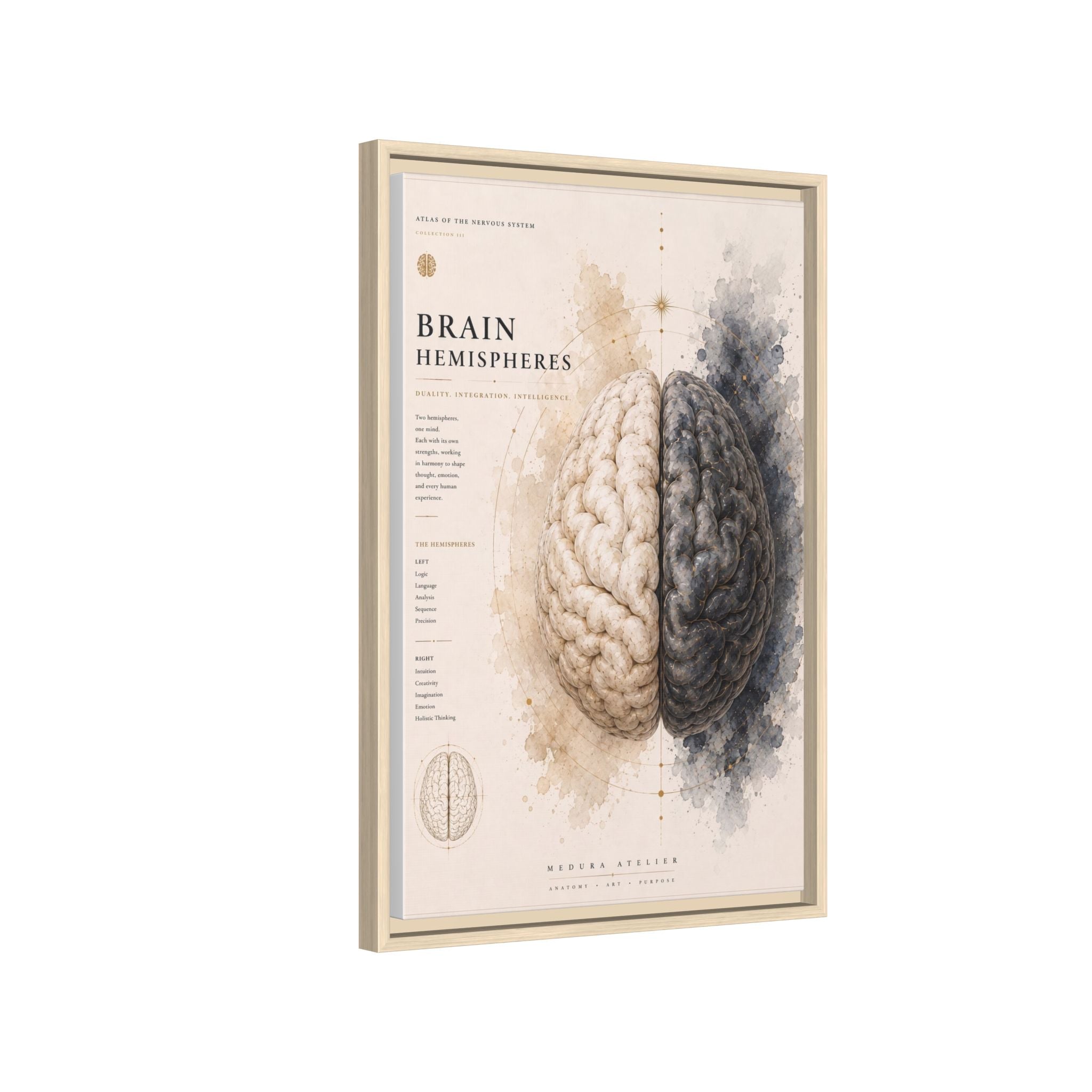 Brain Hemispheres Wall Art | Luxury Neuroscience Canvas Print | Museum-Inspired Fine Art