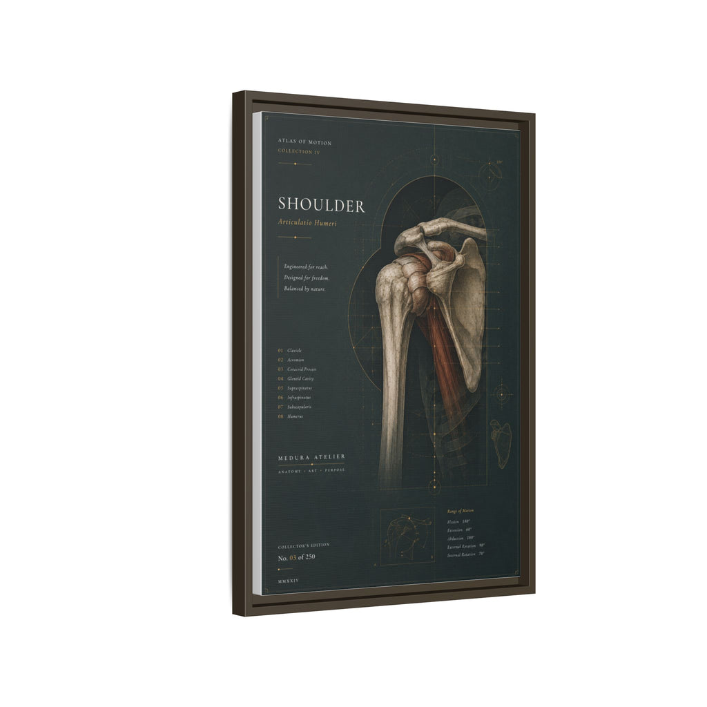 Copy of Atlas of Motion – Knee Wall Art | Luxury Orthopedic Canvas Print | Museum-Inspired Fine Art