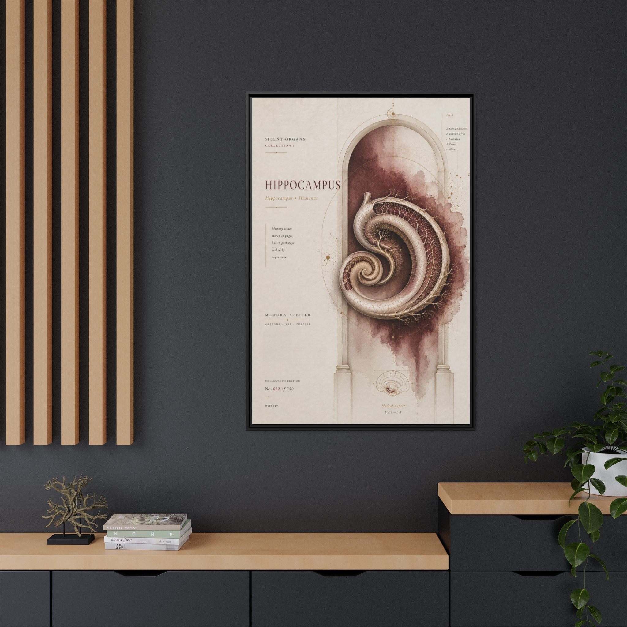 Silent Organs – Hippocampus Wall Art | Luxury Neuroscience Canvas Print | Museum-Inspired Fine Art