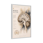 White Matter Brain Wall Art | Luxury Neuroscience Canvas Print | Museum-Inspired Fine Art
