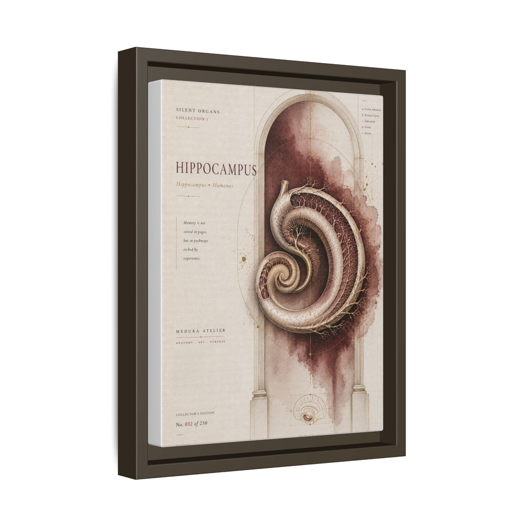 Silent Organs – Hippocampus Wall Art | Luxury Neuroscience Canvas Print | Museum-Inspired Fine Art