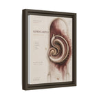 Silent Organs – Hippocampus Wall Art | Luxury Neuroscience Canvas Print | Museum-Inspired Fine Art