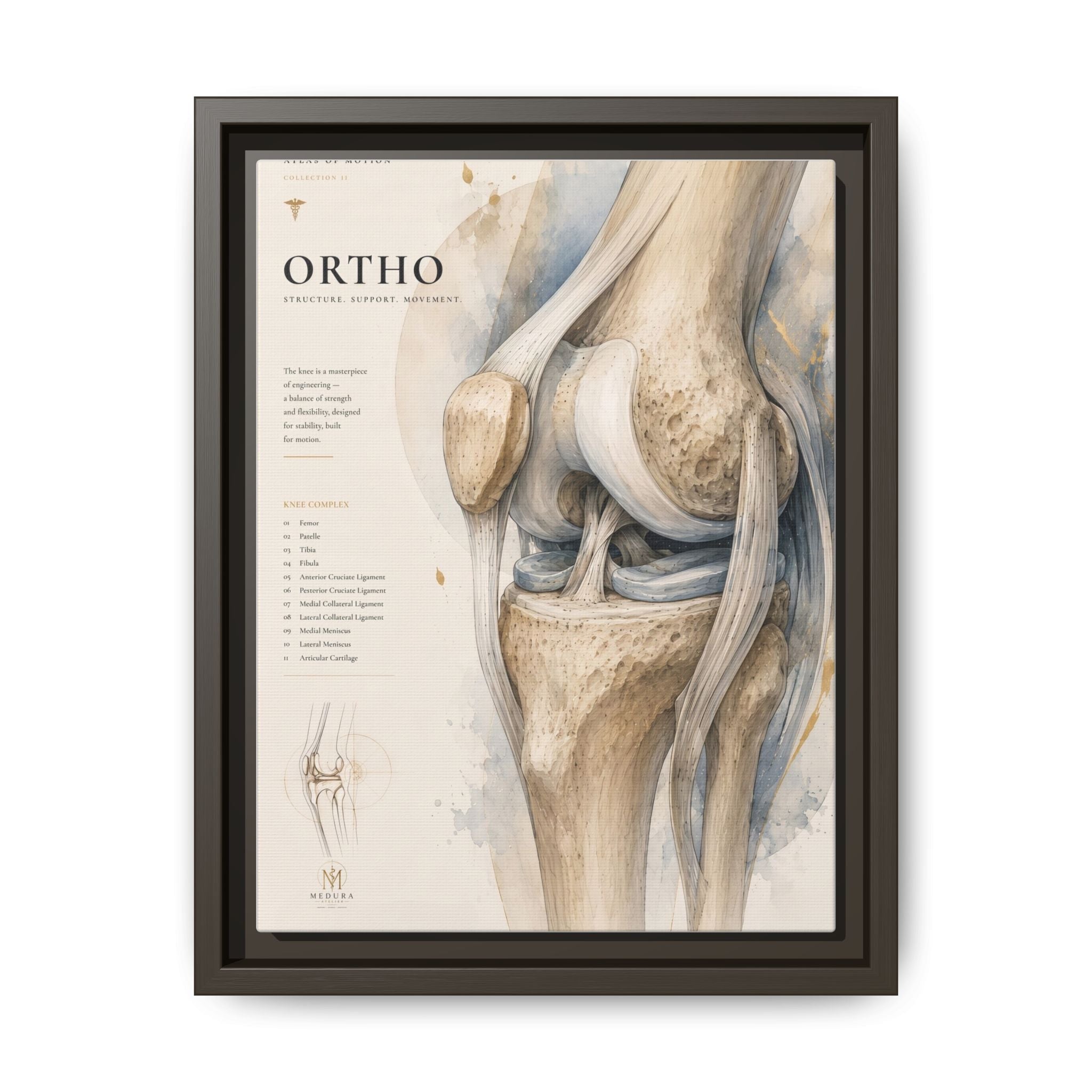 Orthopaedic Knee Anatomy Wall Art | Luxury Orthopedic Canvas Print | Museum-Inspired Fine Art