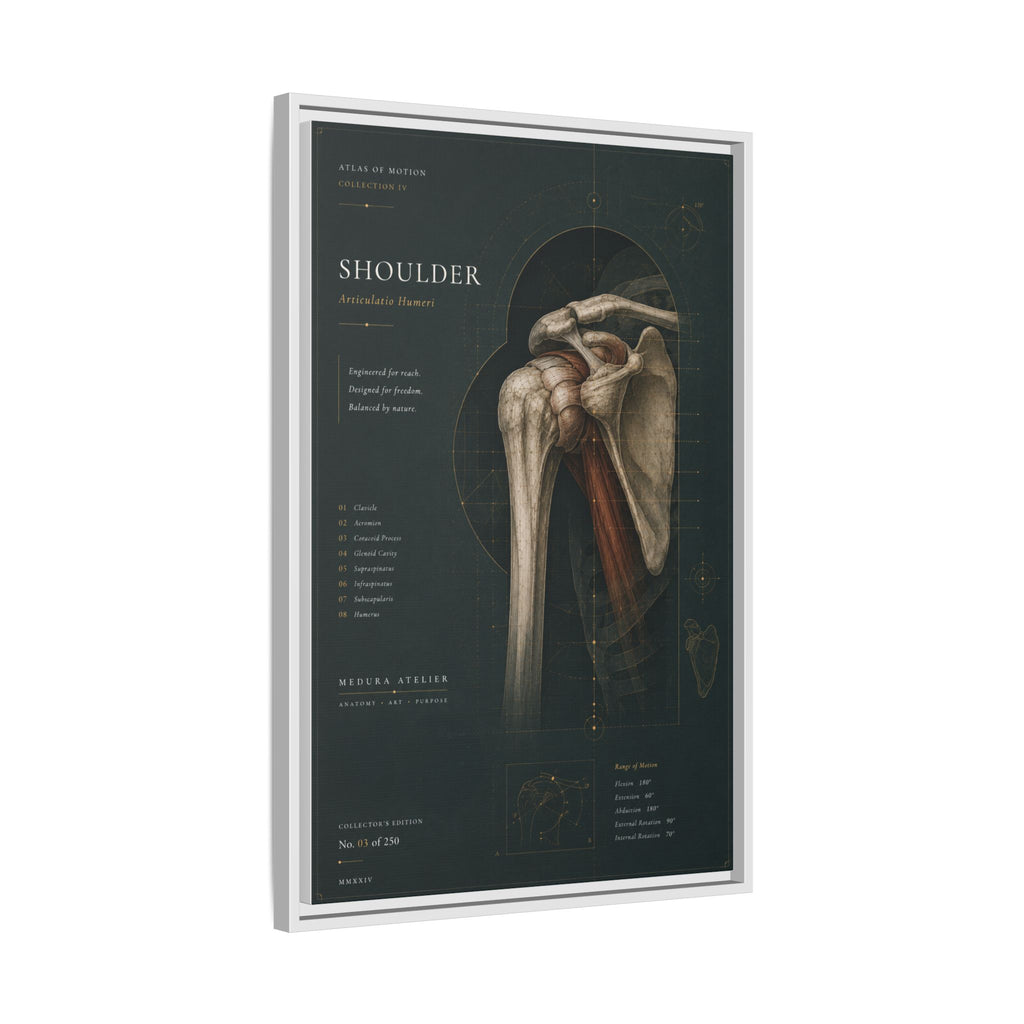 Copy of Atlas of Motion – Knee Wall Art | Luxury Orthopedic Canvas Print | Museum-Inspired Fine Art