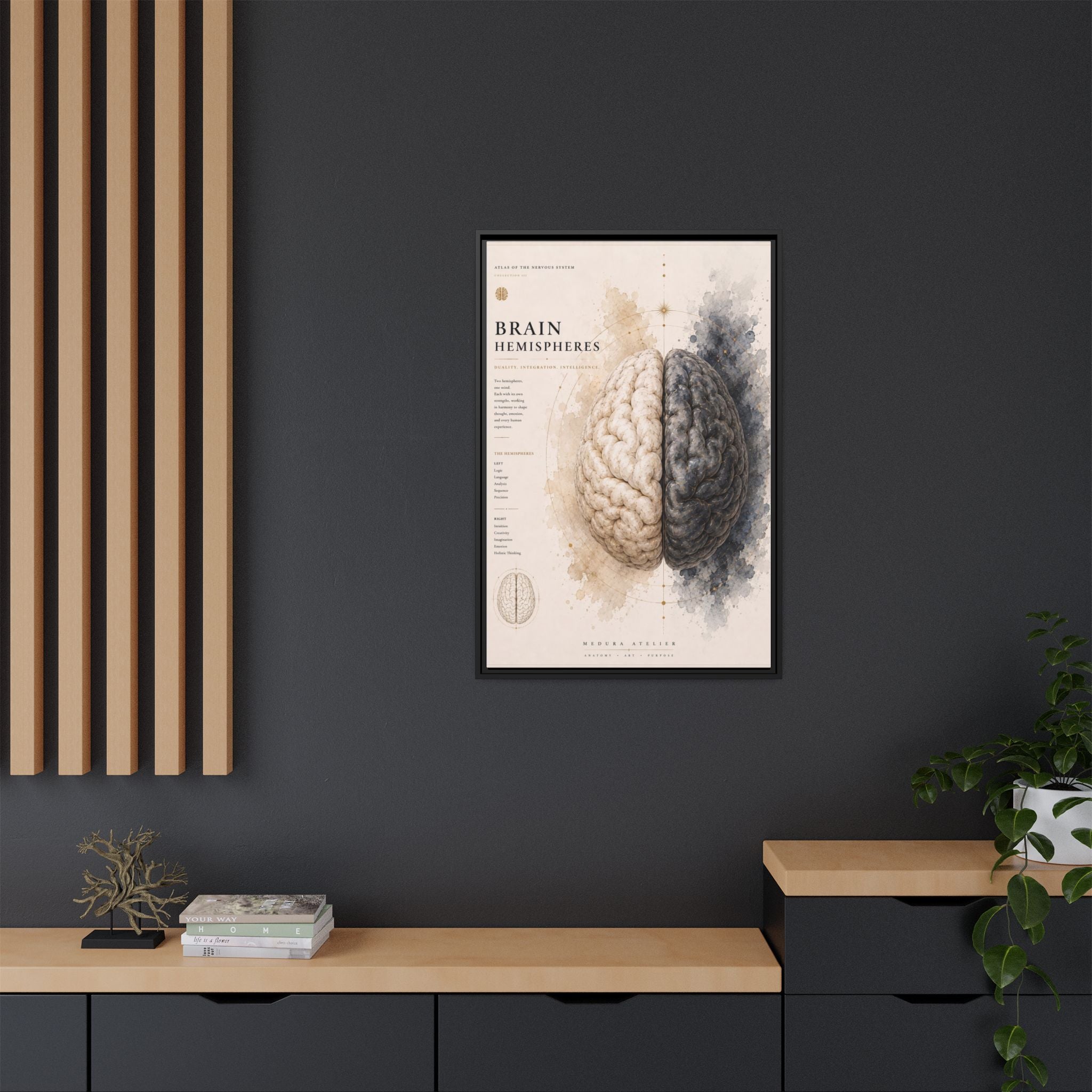 Brain Hemispheres Wall Art | Luxury Neuroscience Canvas Print | Museum-Inspired Fine Art