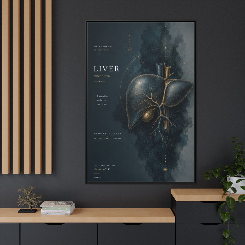 Silent Organs – Liver Wall Art | Luxury Anatomical Canvas Print | Museum-Inspired Fine Art