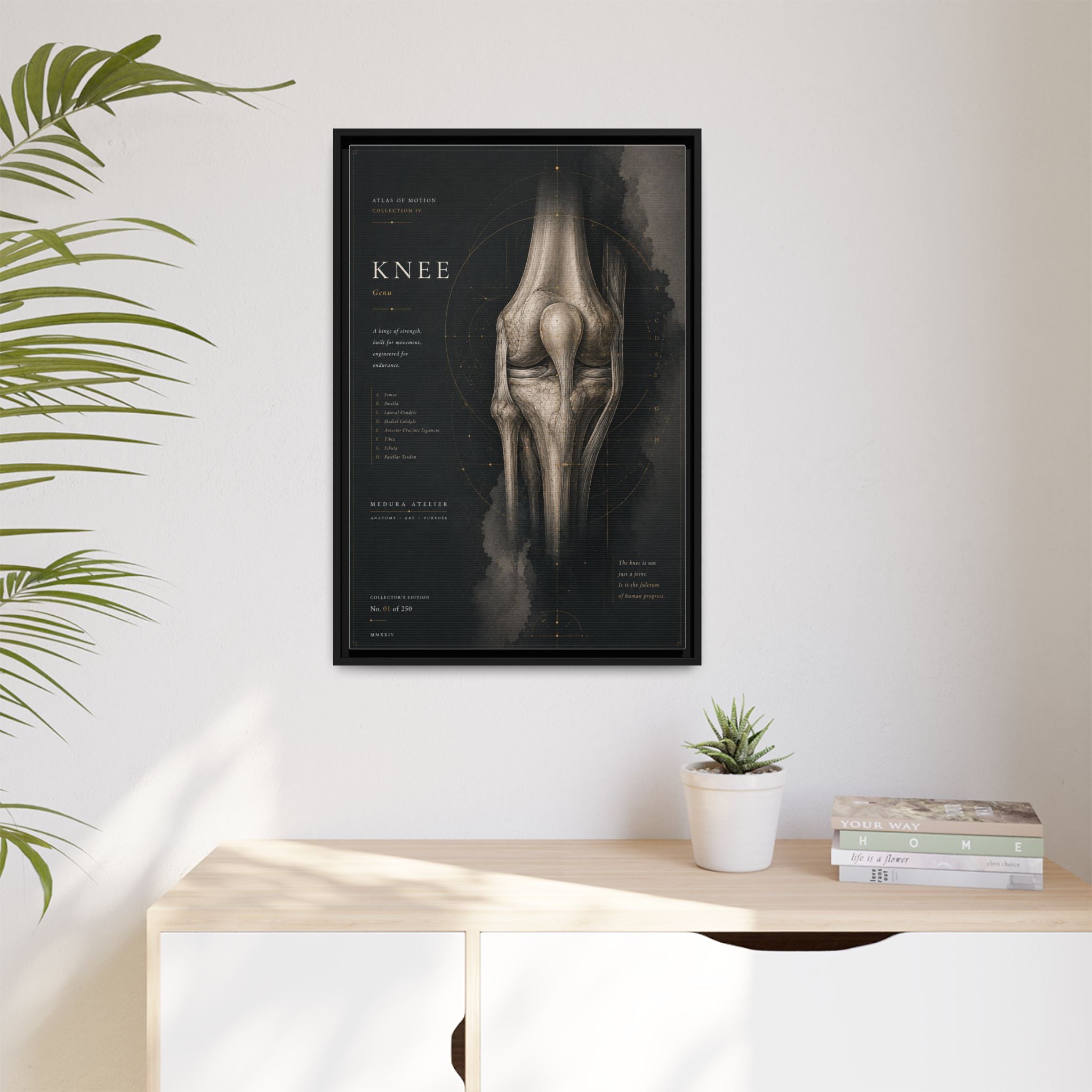 Atlas of Motion – Knee Wall Art | Luxury Orthopedic Canvas Print | Museum-Inspired Fine Art
