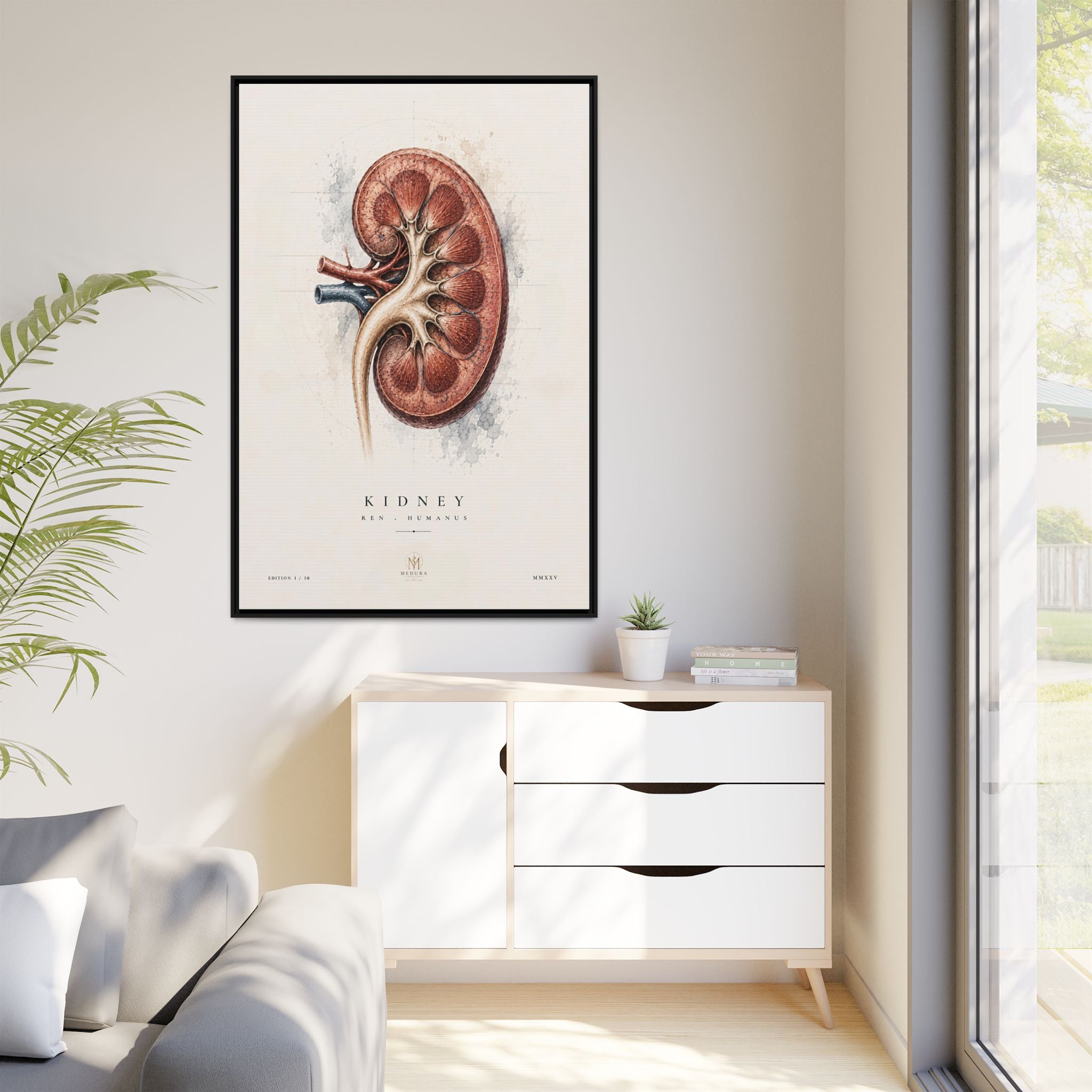 Anatomical Kidney Wall Art | Luxury Nephrology Canvas Print | Museum-Inspired Fine Art