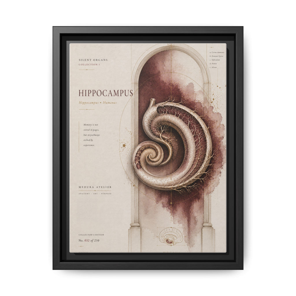 Silent Organs – Hippocampus Wall Art | Luxury Neuroscience Canvas Print | Museum-Inspired Fine Art