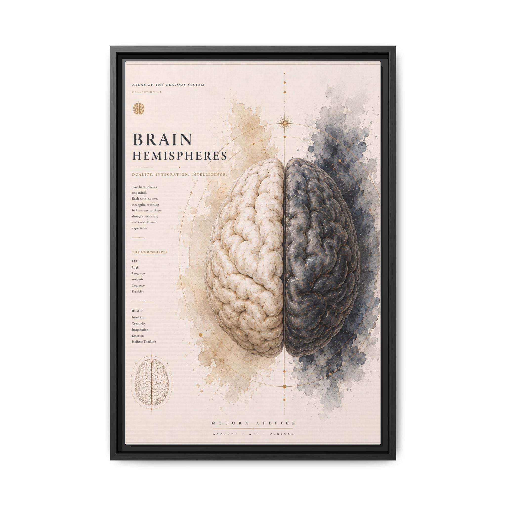 Brain Hemispheres Wall Art | Luxury Neuroscience Canvas Print | Museum-Inspired Fine Art