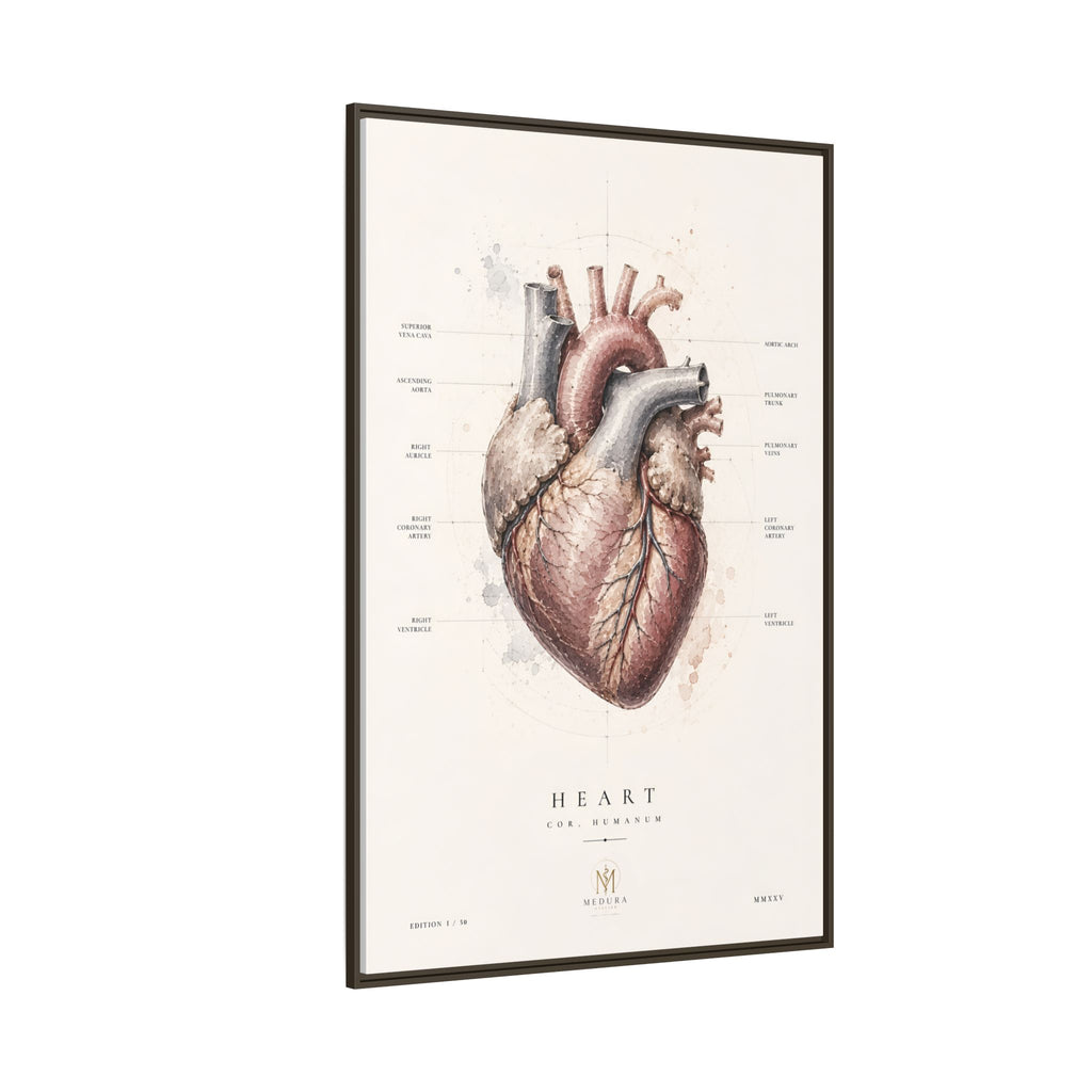 Anatomical Heart Wall Art | Luxury Medical Canvas Print | Museum-Inspired Fine Art