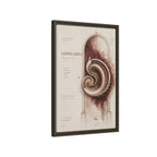 Silent Organs – Hippocampus Wall Art | Luxury Neuroscience Canvas Print | Museum-Inspired Fine Art