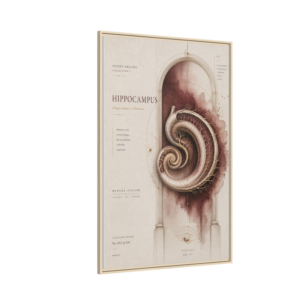Silent Organs – Hippocampus Wall Art | Luxury Neuroscience Canvas Print | Museum-Inspired Fine Art