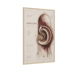 Silent Organs – Hippocampus Wall Art | Luxury Neuroscience Canvas Print | Museum-Inspired Fine Art