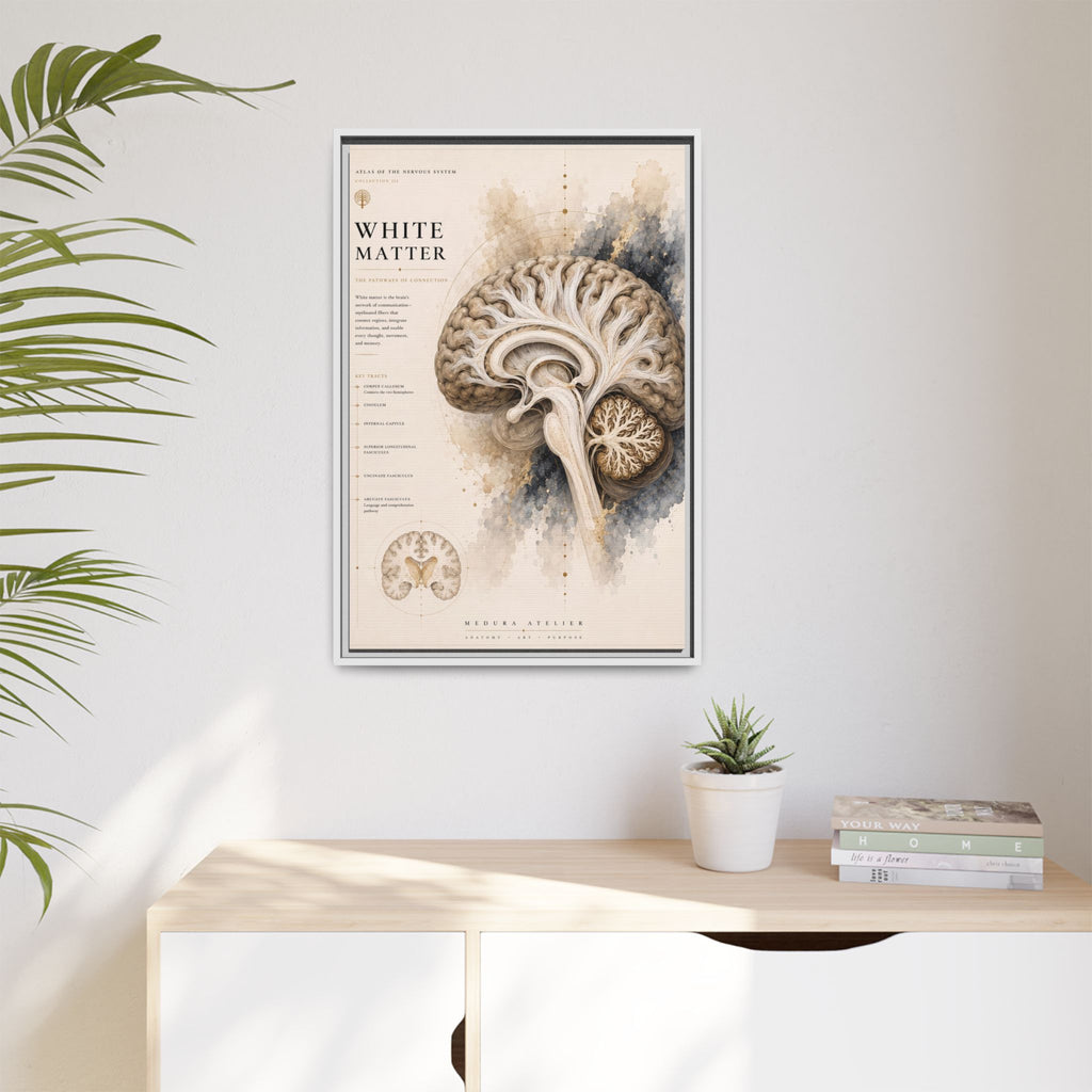 White Matter Brain Wall Art | Luxury Neuroscience Canvas Print | Museum-Inspired Fine Art
