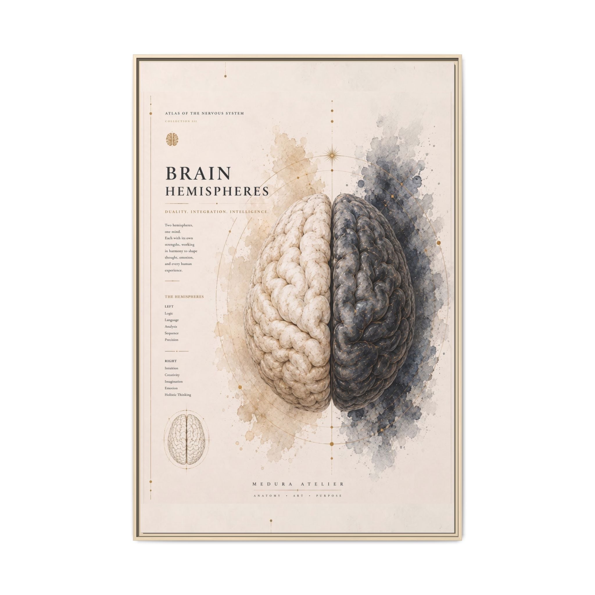 Brain Hemispheres Wall Art | Luxury Neuroscience Canvas Print | Museum-Inspired Fine Art