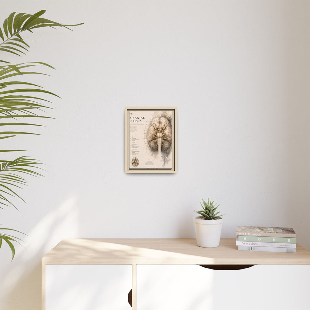 White Matter Brain Wall Art | Luxury Neuroscience Canvas Print | Museum-Inspired Fine Art