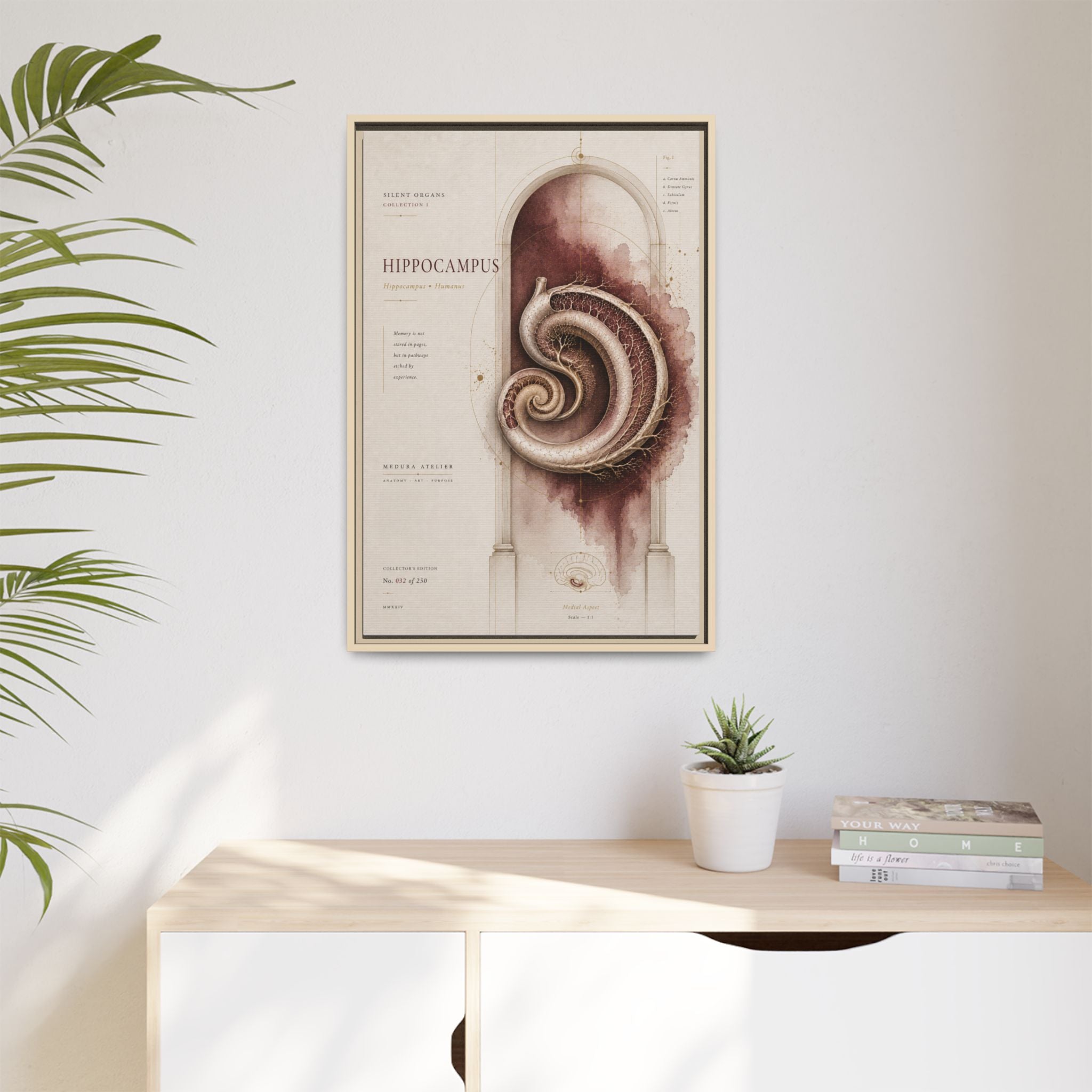 Silent Organs – Hippocampus Wall Art | Luxury Neuroscience Canvas Print | Museum-Inspired Fine Art